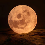 Moon White Pendant Lamp Ha076610