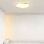 Lighting Ceiling Lights Flush Mount Lighting_Tli00213