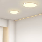 Lighting Ceiling Lights Flush Mount Lighting_Tli00213