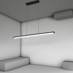 Lighting Ceiling Lights Pendant Lighting_Tli00183
