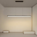 Lighting Ceiling Lights Pendant Lighting_Tli00183