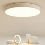 Lighting Ceiling Lights Flush Mount Lighting_Tli00157