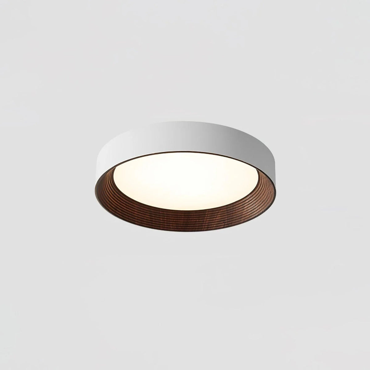 Calen Minimalist Ceiling Lamp