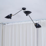 Celestial Curve Ceiling Light