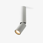 Julian Adjustable Surface Spot Light – Slim LED Downlight in Black or White