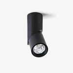 Maxwell Pivot Surface Downlight – Modern LED Ceiling Spotlight