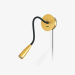 Flexi Hose Plug In Wall Light