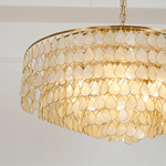 Teardrop Shell Chandelier in Gold Finish with Natural Shell Shades