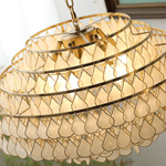 Teardrop Shell Chandelier in Gold Finish with Natural Shell Shades