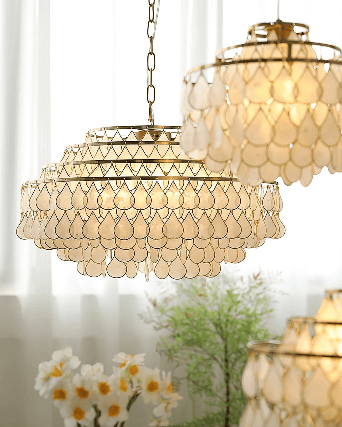 Teardrop Shell Chandelier in Gold Finish with Natural Shell Shades