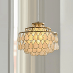 Teardrop Shell Chandelier in Gold Finish with Natural Shell Shades