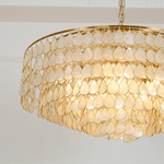 Teardrop Shell Chandelier in Gold Finish with Natural Shell Shades