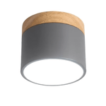 Alva Wooden Surface Downlight – Scandinavian Minimalist Ceiling Lamp
