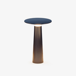 Luma Disk Solar-Powered Outdoor Table Lamp in Metal