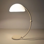 Arc Dome Floor Lamp – Modern Curved LED Floor Light for Living Room & Bedroom