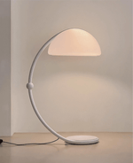 Arc Dome Floor Lamp – Modern Curved LED Floor Light for Living Room & Bedroom