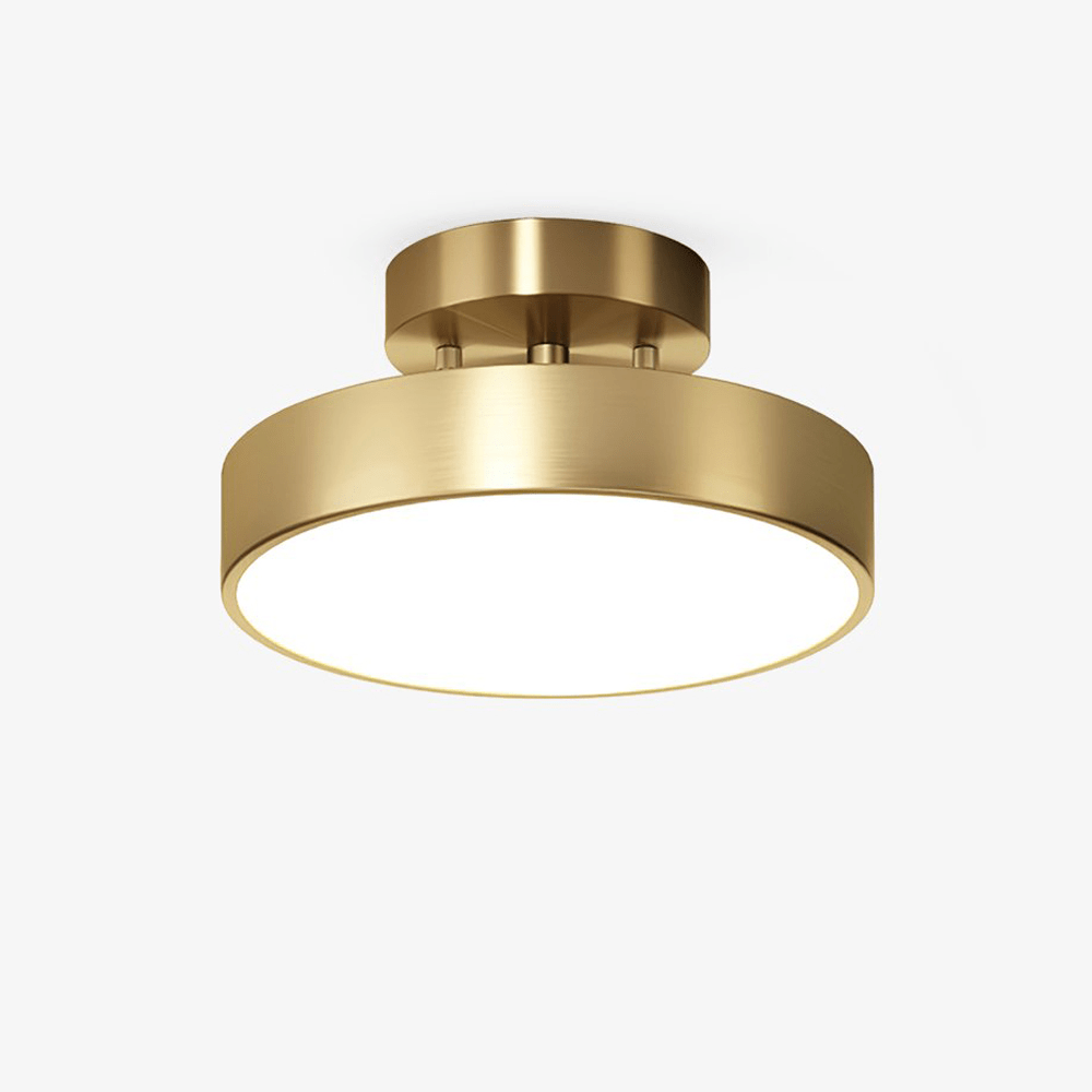 Meridian Rotatable LED Ceiling Light in Brass and Acrylic