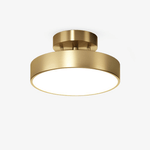 Meridian Rotatable LED Ceiling Light in Brass and Acrylic