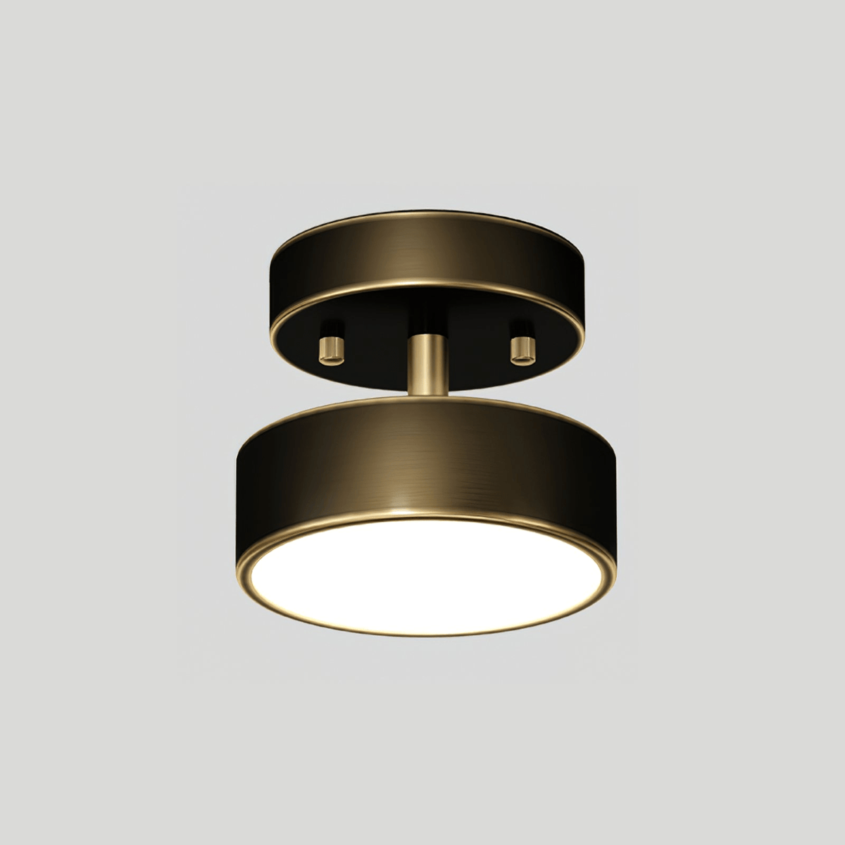 Meridian Rotatable LED Ceiling Light in Brass and Acrylic