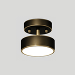 Meridian Rotatable LED Ceiling Light in Brass and Acrylic