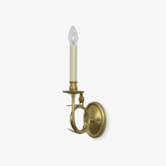Elara Sculptural Bird Wall Sconce in Iron and Brass