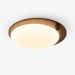 Walnut Wood Accent LED Flush Mount Ceiling Light