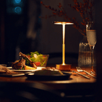 Lorin Cordless LED Table Lamp with Touch Dimming