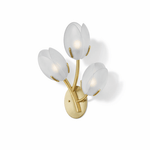 Tulyn Bloom Wall Sconce in Blush Pink Glass and Gold Metal