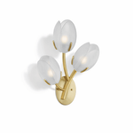 Tulyn Bloom Wall Sconce in Blush Pink Glass and Gold Metal