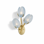 Tulyn Bloom Wall Sconce in Blush Pink Glass and Gold Metal