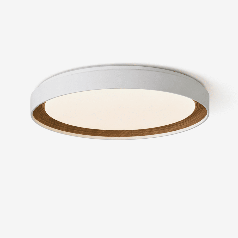 Arco Acrylic Ceiling Light – Modern Minimalist Flush Mount with Walnut Accent