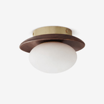 Brio Dome Flush Mount Ceiling Light in Brass and Frosted Glass