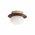 Brio Dome Flush Mount Ceiling Light in Brass and Frosted Glass