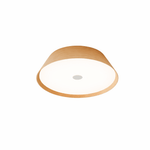 Lunara Wood Ring LED Ceiling Light – Modern Flush Mount for Bedroom & Living Room