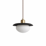 Solmere Wood Pendant Light with Frosted Glass Globe and Brass Canopy