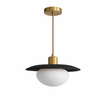 Solmere Wood Pendant Light with Frosted Glass Globe and Brass Canopy