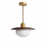 Solmere Wood Pendant Light with Frosted Glass Globe and Brass Canopy