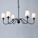 Sculpted Candle Chandelier in Antique Brass, Matte Black, or Brushed Nickel