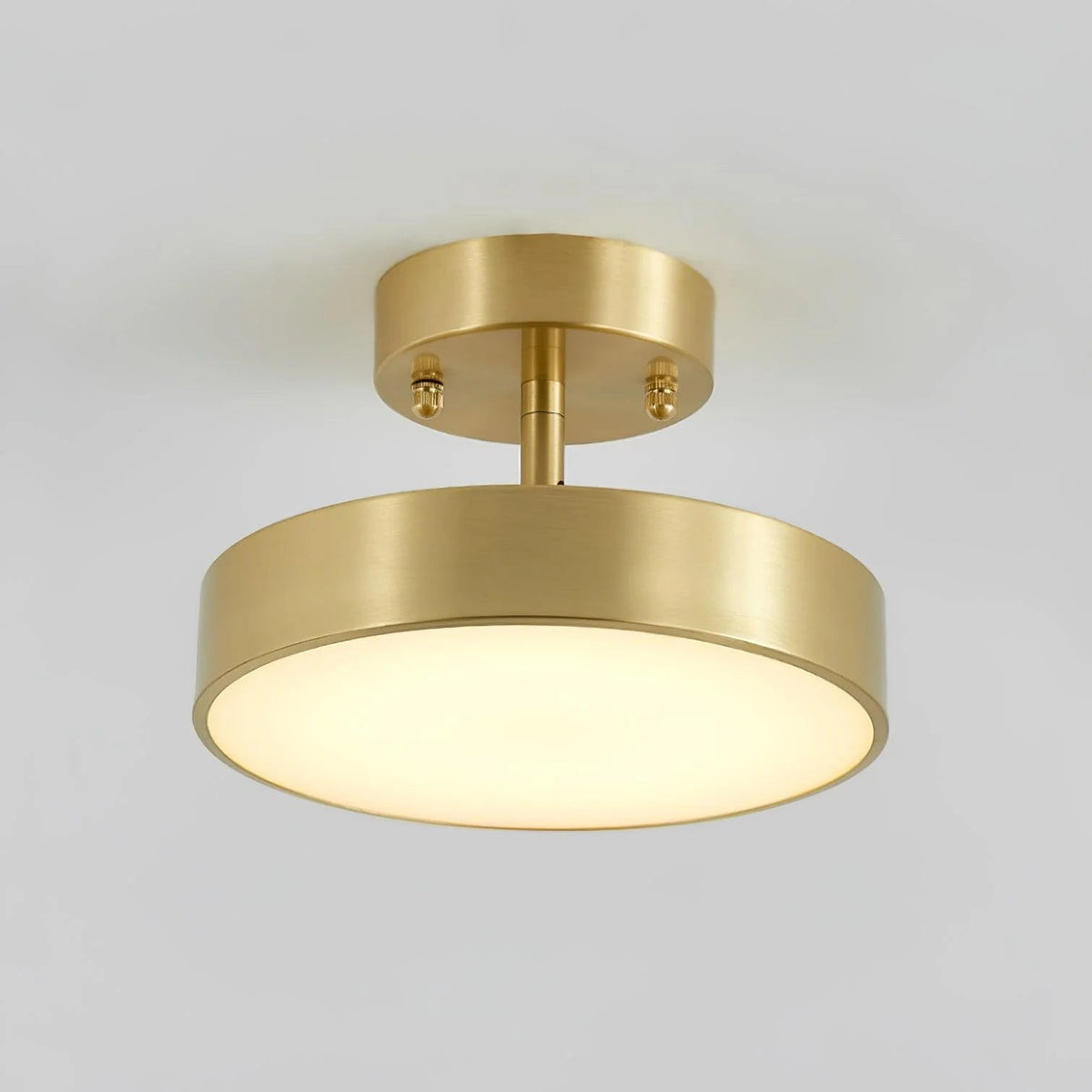 Axiom Rotating Ceiling Light