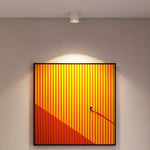 Lumepoint Ceiling Light