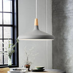 Vivid Cone Modern Pendant Light
