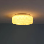 Arden Ceiling Light