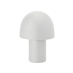 Touch Control Dome Mushroom Frosted Ambient Table Lamp