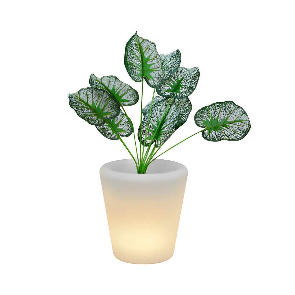 Luminous Flowerpot Solar Outdoor Light Ha099052