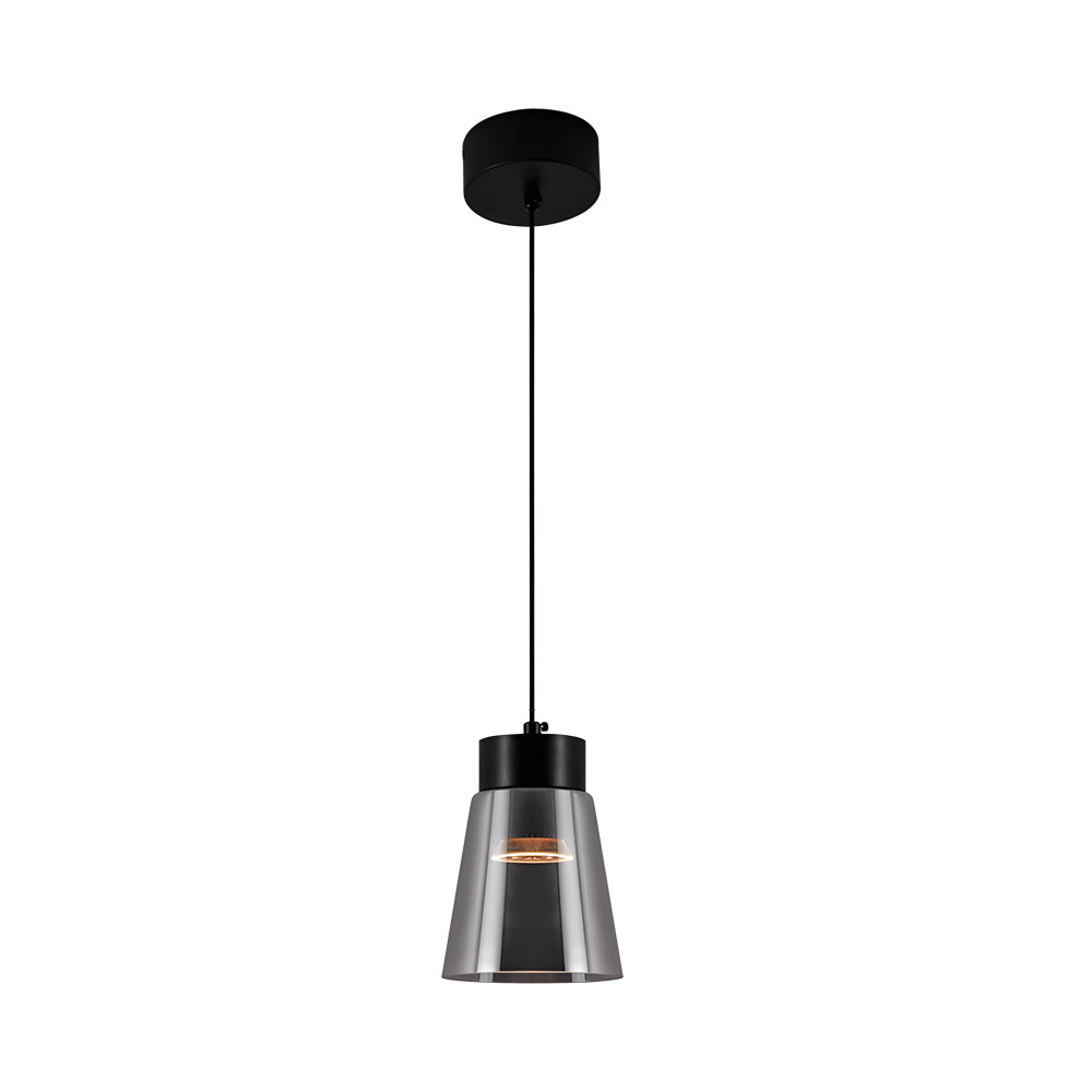 Minimalist Smoke Gray Glass Shade Cob Modern Pendant Lights Chandelier Li002740