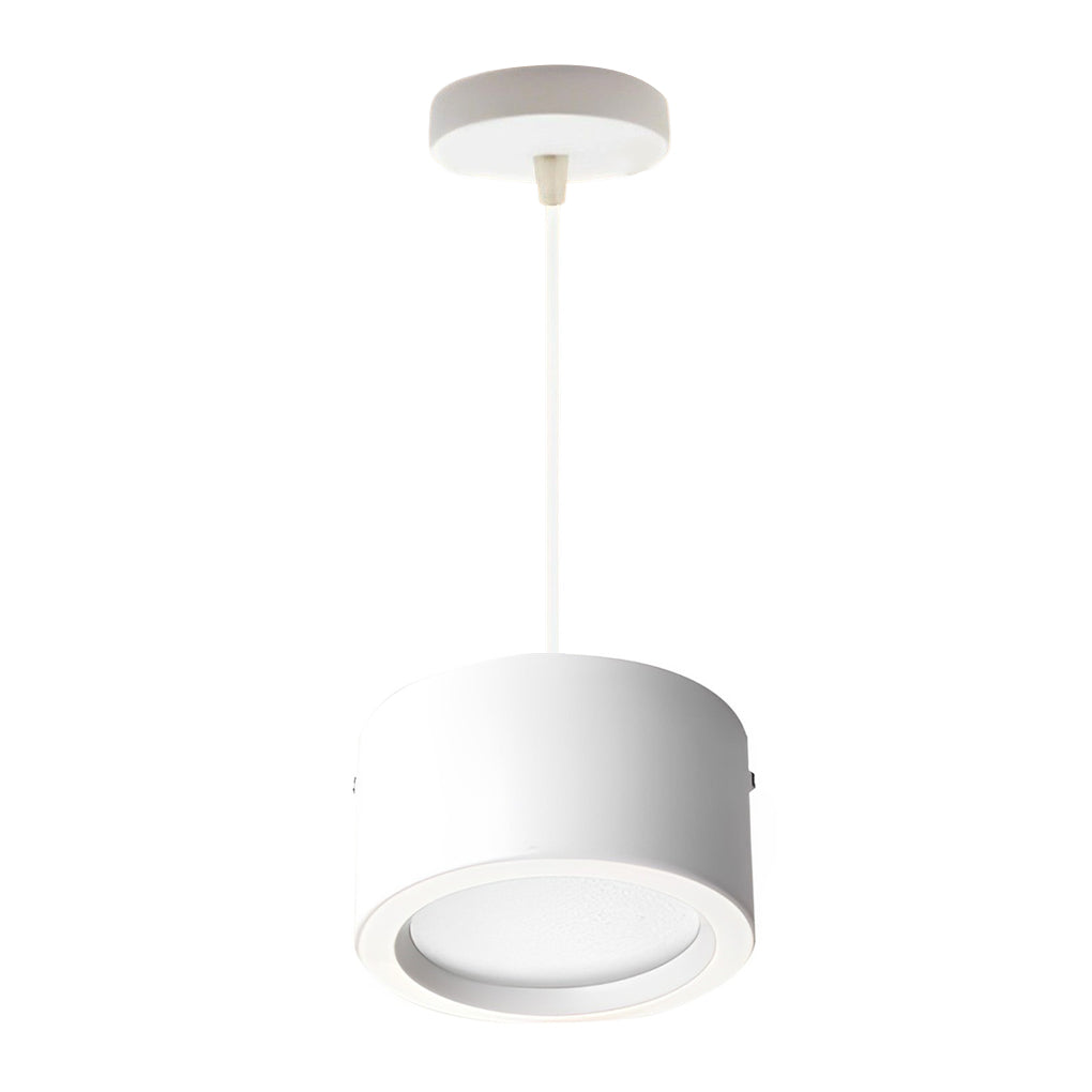 Cylindrical Hanging Downlight Li002417