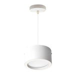 Cylindrical Hanging Downlight Li002417