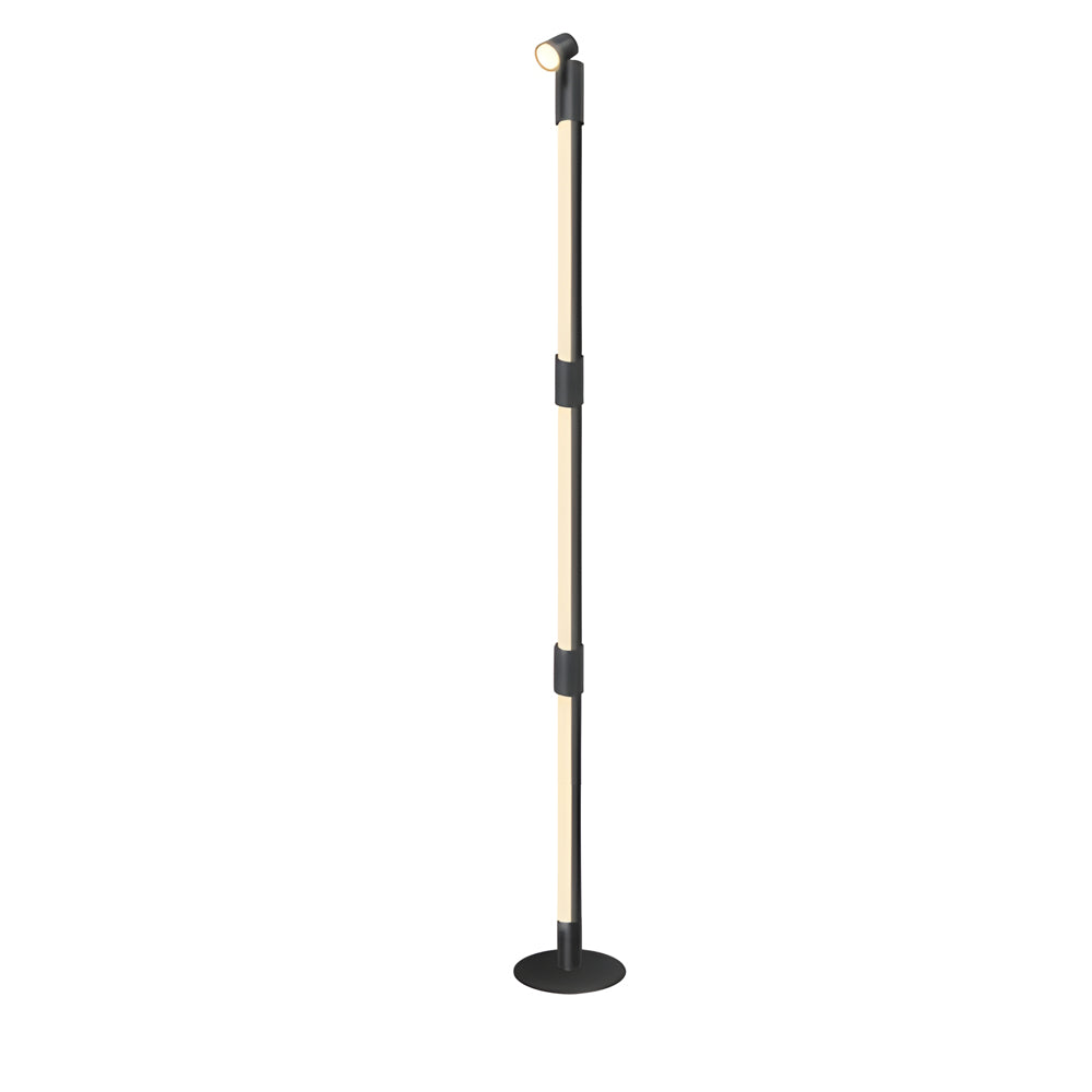 Rgb Rotating Floor Lamp With Spotlight Remote Control