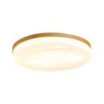 Wood Modern Led Ceiling Light Li002617