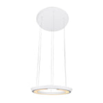 Modern Led Ring Shaped Pendant Light With Acrylic Shades For Living Room